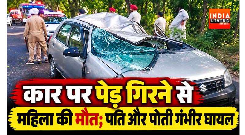 कार पर पेड़ गिरने से महिला की मौत; पति और पोती गंभीर घायल