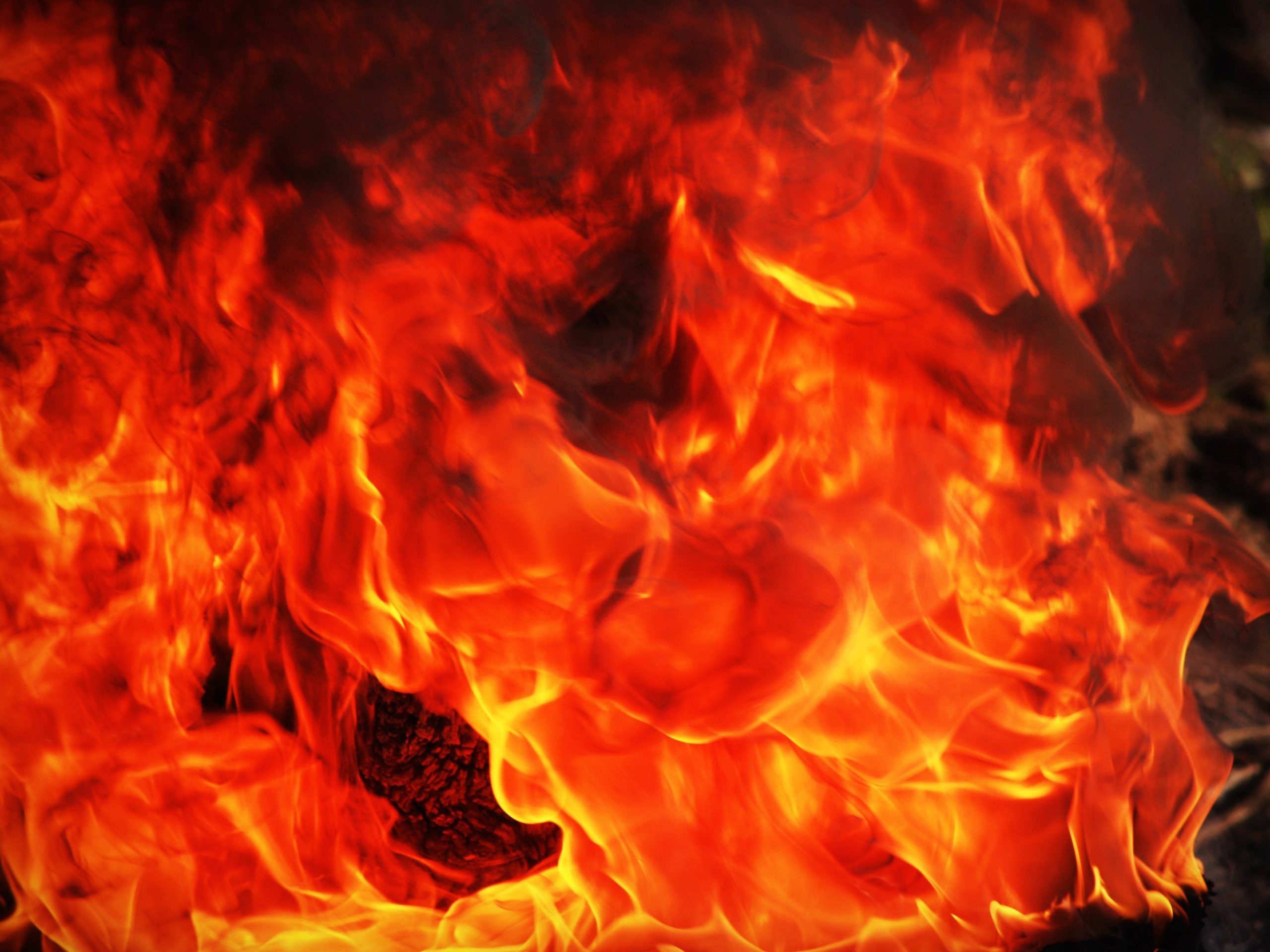 Big news: Massive bomb blast in mosque during Friday prayers in Pakistan, news of 30 people killed