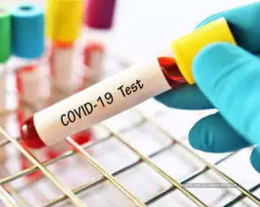 covid-cases-update-290-corona-cases-were-reported-on-saturday-in-jalandhar