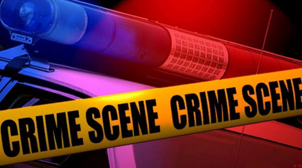 man kills wife with hammer and then jumps into canal