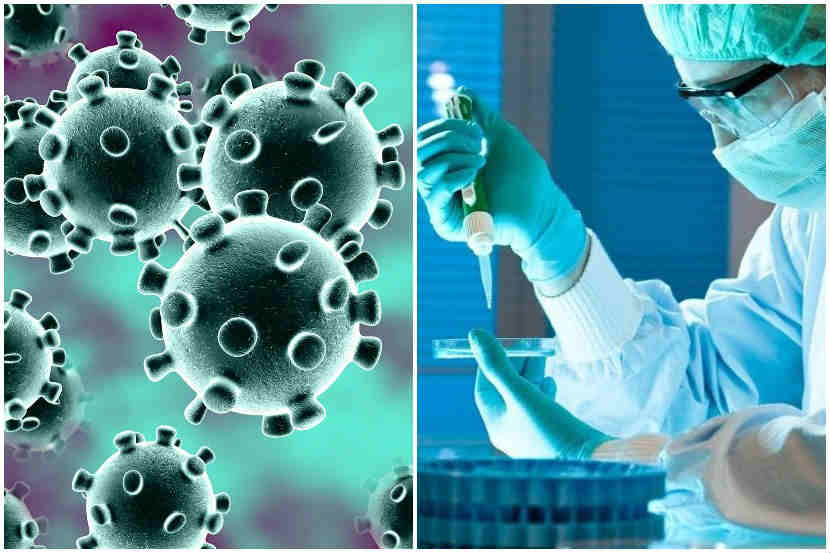 jalandhar-coronavirus-update-636 positive-3 dead-410-patients-recovered