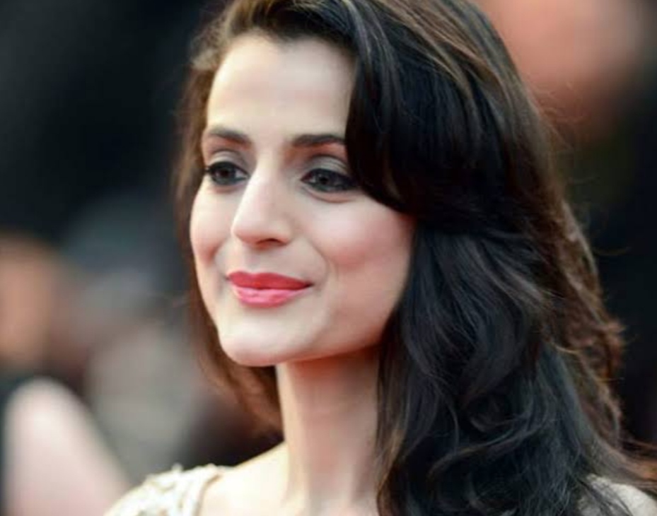 Film actress Ameesha Patel accused of embezzling 2.5 crore rupees, court seeks reply