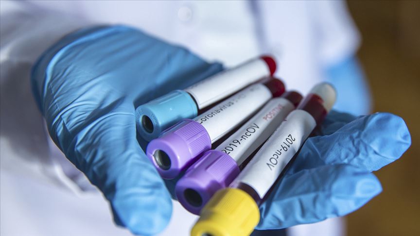 120 new corona patients including 11 students of Meritoris School in Jalandhar, 2 dead