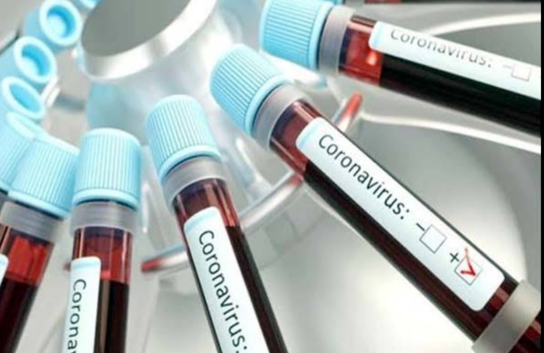 733-positive-patients-8-infected-including-woman-succumbed-in-jalandhar