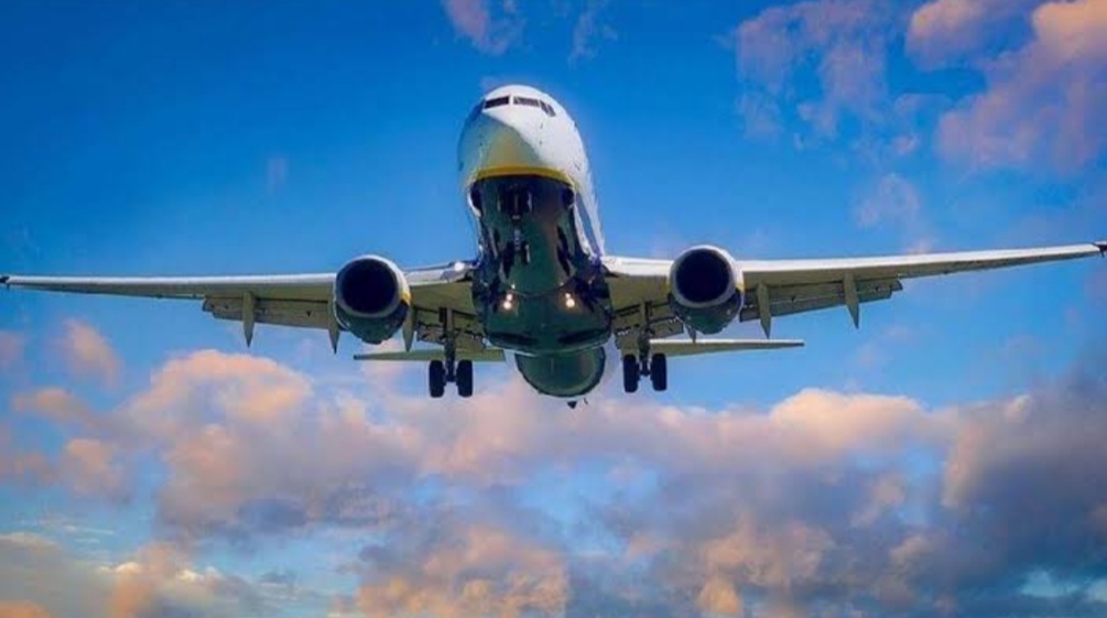 Bird collided with the plane taking off at the airport, emergency landing was done