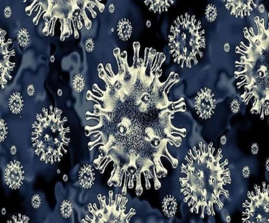 Refrigerator and un-washed mask also threatens black fungus, Chandigarh PGI gives rescue tips