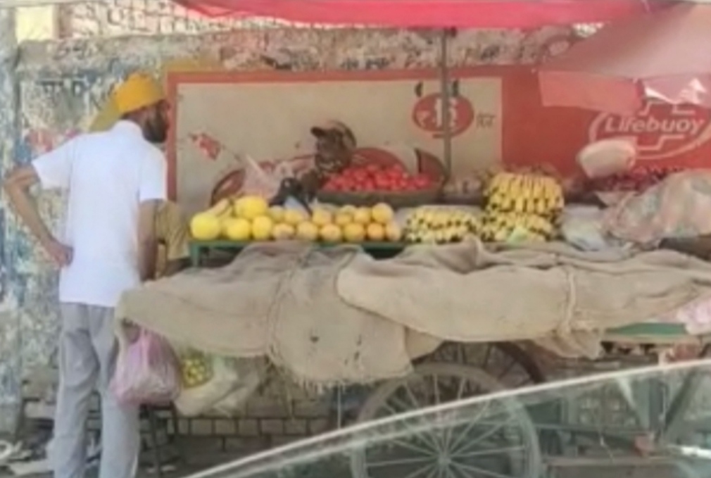 Drunk policeman created ruckus in Jalandhar, accused of not giving money by buying fruits from street vendors