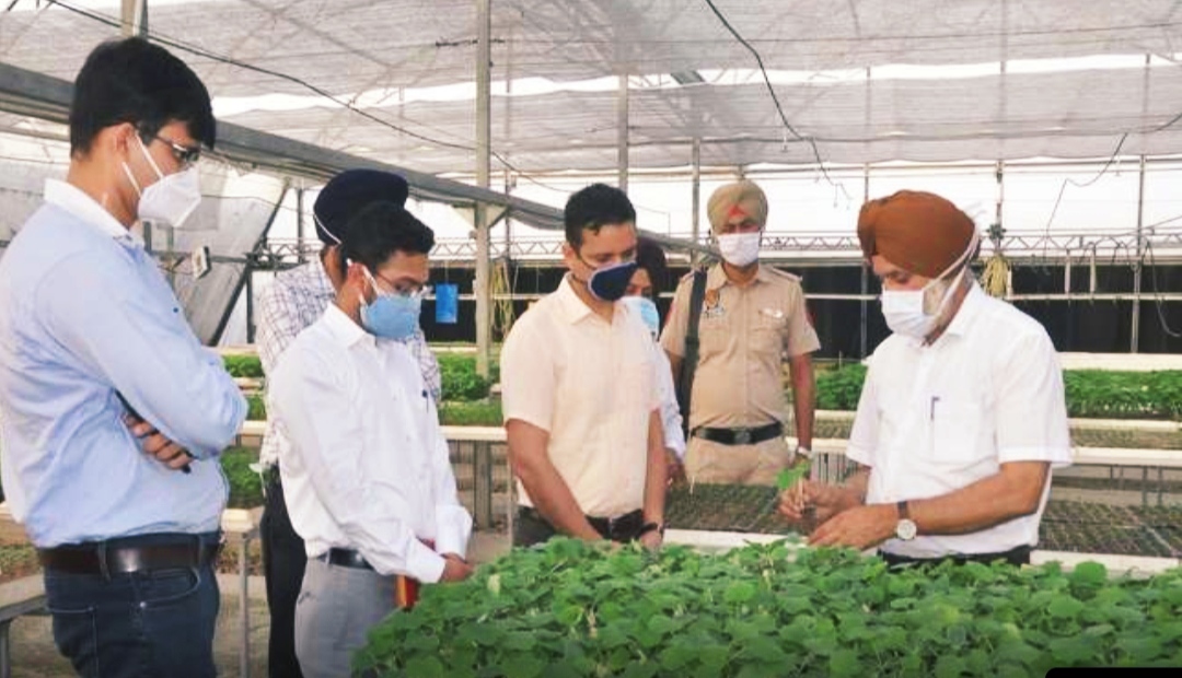 Deputy Commissioner Ghanshyam Thori visits Center of Excellence for Vegetables