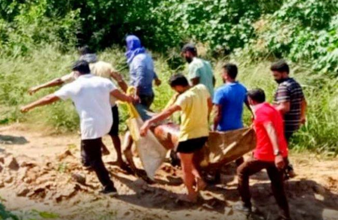 The news of the murder again created a stir in Jalandhar, the body of a youth missing for three days was recovered