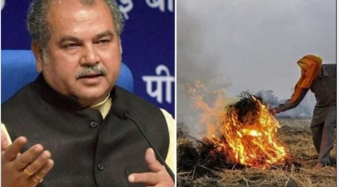 Another gift of Modi government to farmers, now burning stubble will not be a crime
