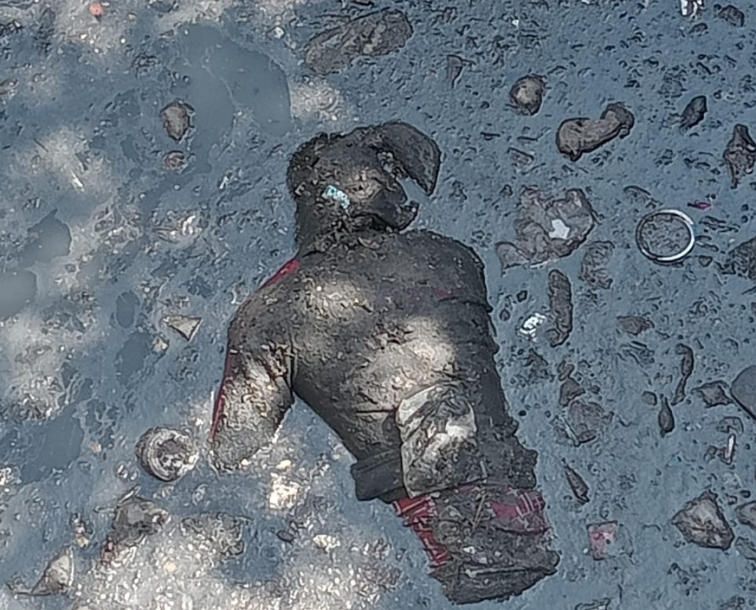 Sensation spread due to dead body found in Maqsood vegetable market of Jalandhar