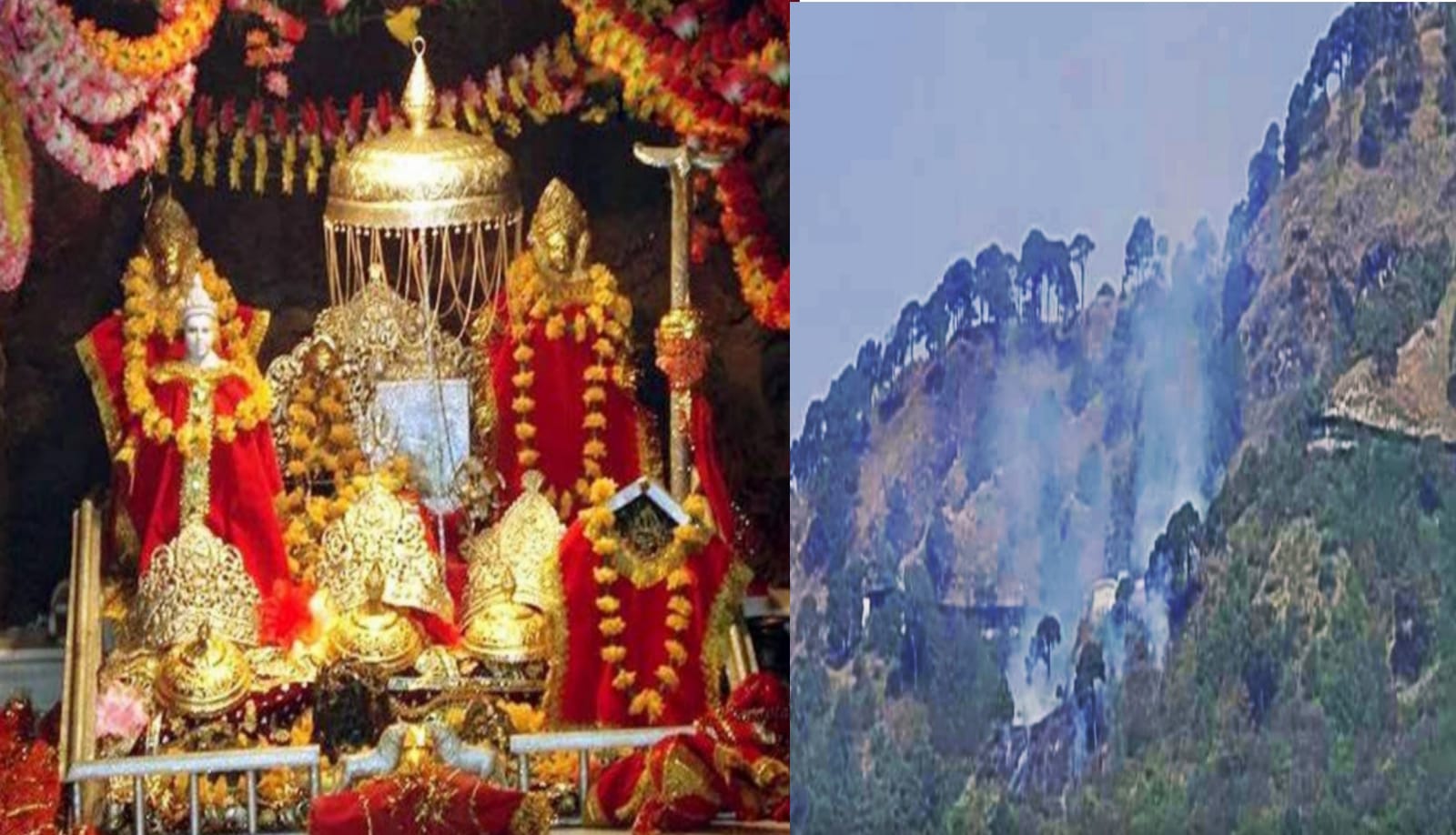 Fire in the forest area near the battery car route of Maa Vaishno Devi Yatra