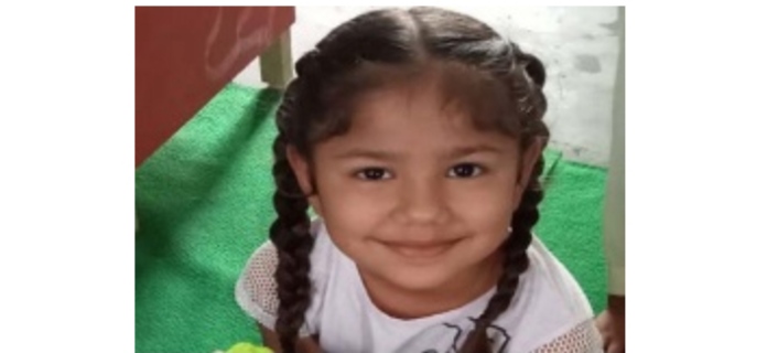 small girl dies due to snake bite in Jalandhar