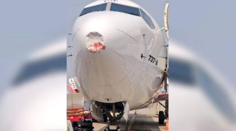 Bird collides with Akasa Airlines flight