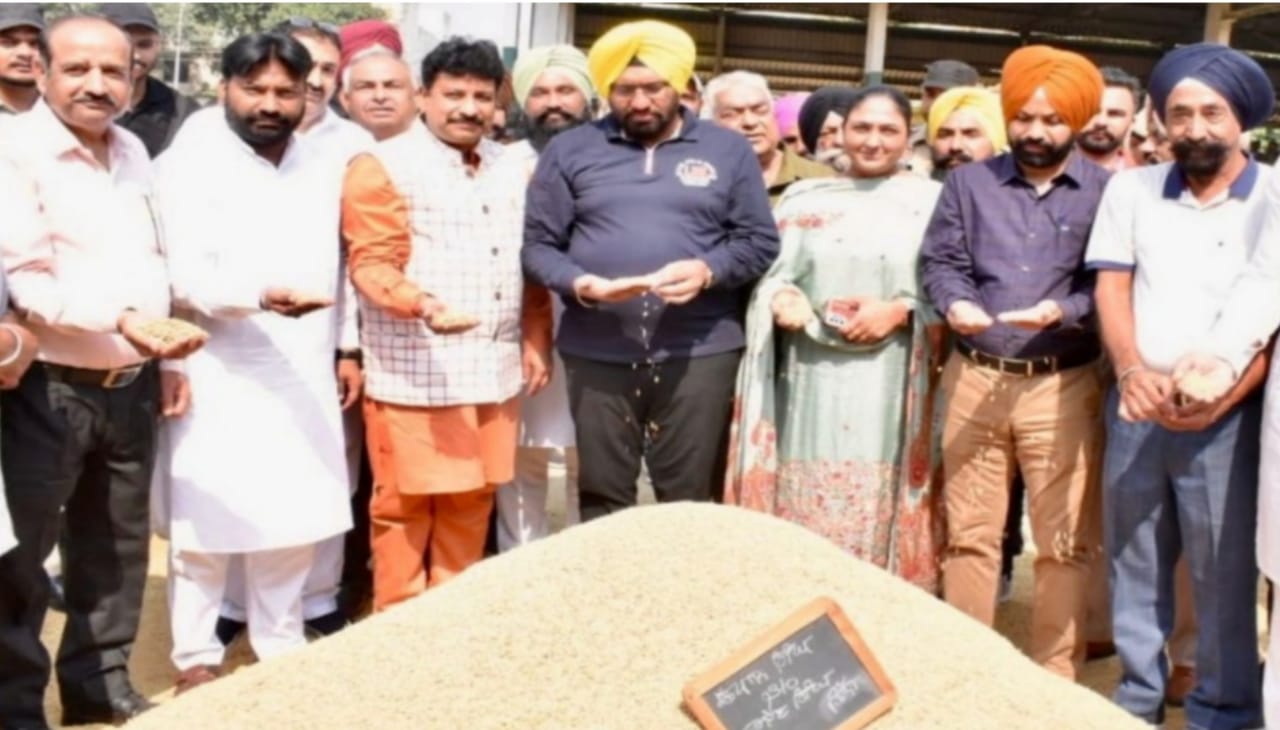 डिप्टी कमिशनर व विधायकों ने नई अनाज मंडी में शुरू करवाई धान की खरीद