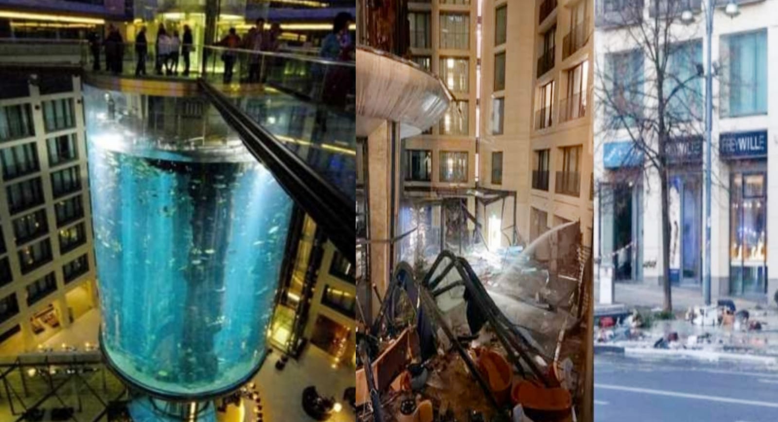 Aquarium filled with millions of liters of water explodes in Germany hotel, thousands of fish died