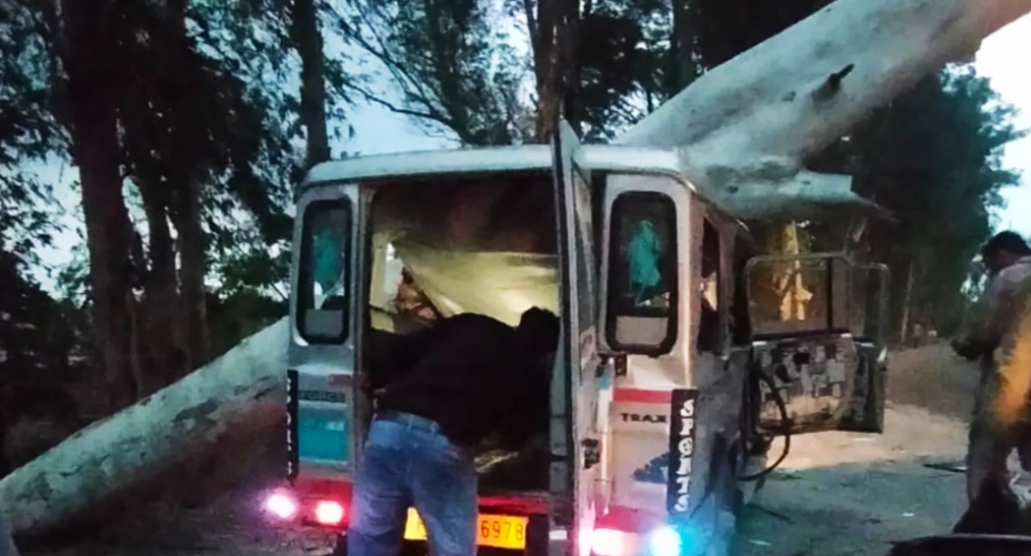 Tree fell on a bus full of teachers in Punjab, 5 injured