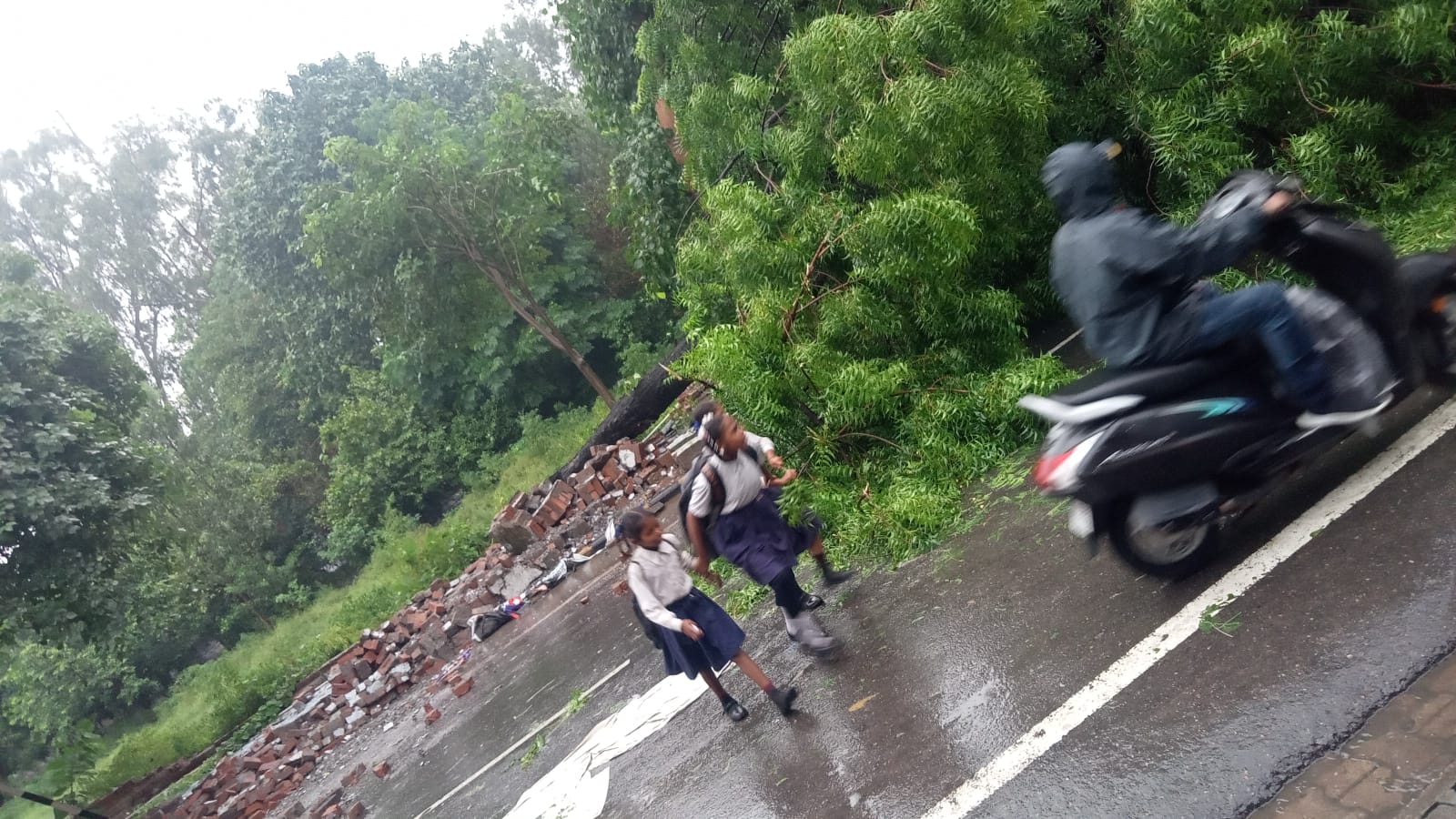 Jalandhar submerged due to rain, wall of Sodhal temple broken, poultry farm demolished in Nussi, see photos