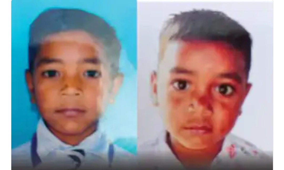 Two real brothers said goodbye to the world together, this reason came to light