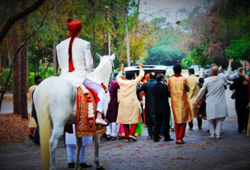 Why does the groom come sitting on a mare on the wedding day, know some interesting facts