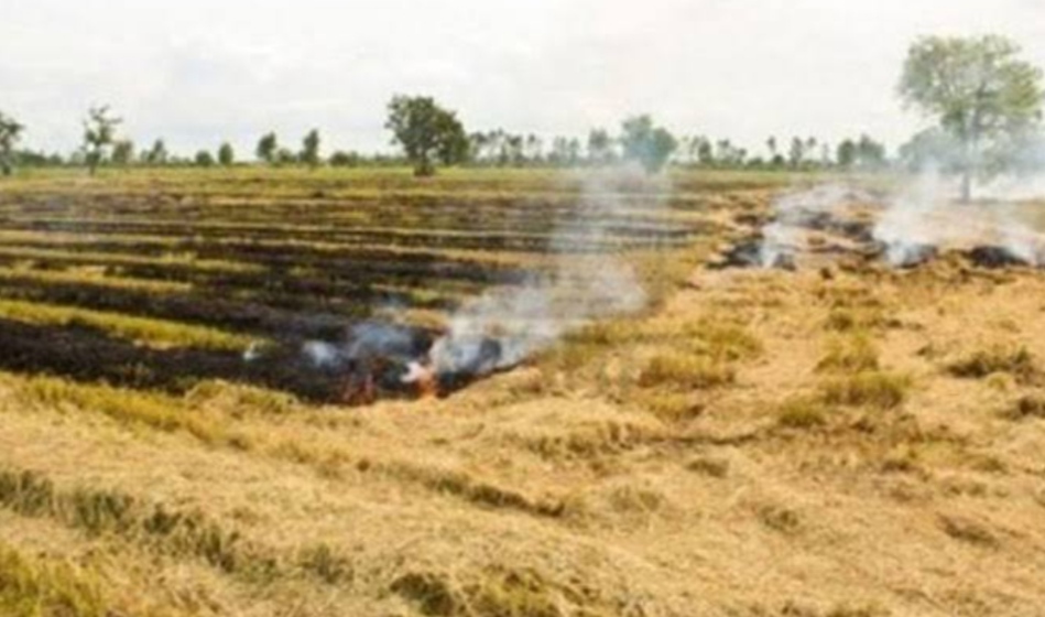 Red entry on papers of 264 farmers for burning stubble in Punjab, they will be deprived of benefits of any government scheme in future.
