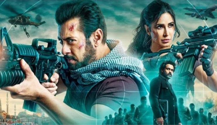 Salman Khan's film Tiger 3 raised the flag of success