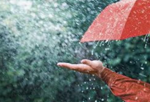 Heavy rain warning in these 15 districts of Punjab