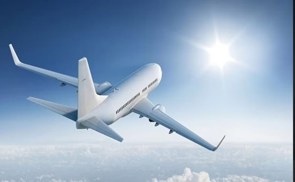 Do you know which fruit is prohibited from being taken in flights?
