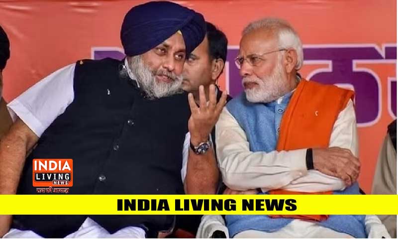 BJP will contest elections alone in Punjab, could not agree on alliance with Akali Dal
