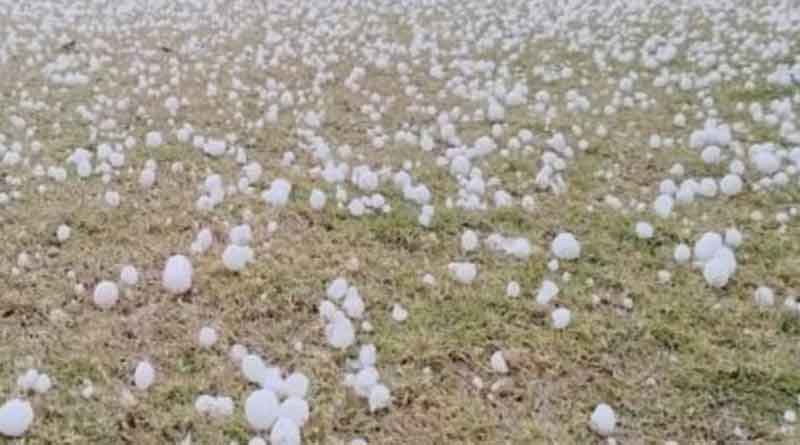 Hail fell along with rain in Jalandhar, weather became cold