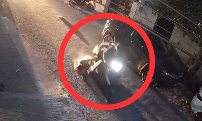 Heart-wrenching incident, robbers dragged an elderly woman to a distance