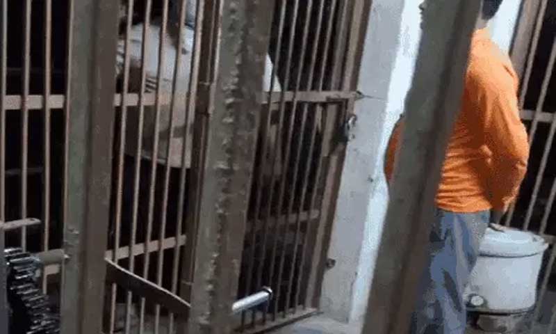 In Jalandhar, the gateman fell asleep leaving the gate open, when the train arrived, people ran to save their lives.