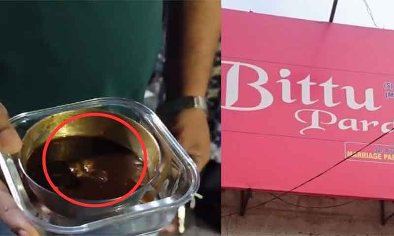 Lizard came out from the chaat of Jalandhar's famous shop Bittu Pardesi, customer created ruckus