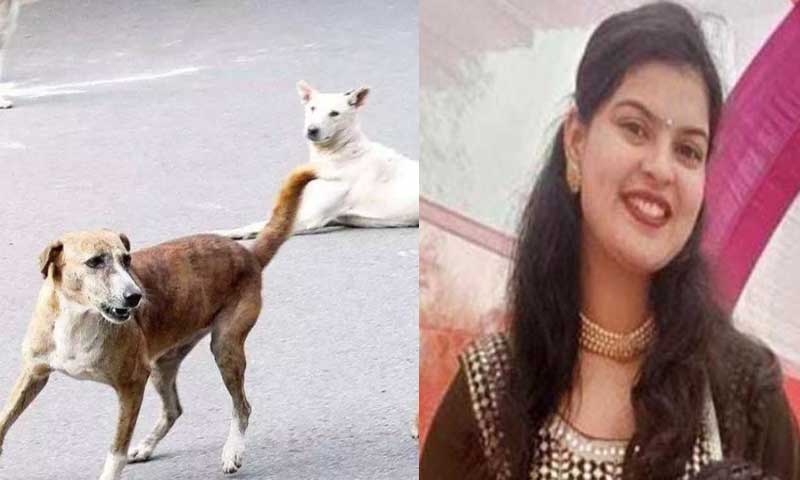 When a woman left home for a walk in the morning, she was attacked by a group of stray dogs and mauled her, she died.