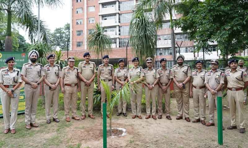 पंजाब पुलिस ने पौधारोपण अभियान किया शुरू, DGP गौरव यादव ने â€˜बॉटल पामâ€™ का लगाया पौधा