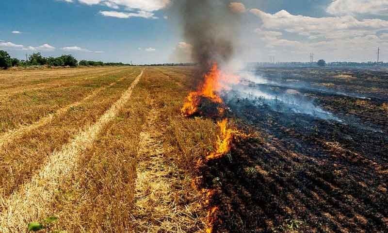 पराली में आग लगाने वालों के खिलाफ प्रशासन सख्त, 2 के खिलाफ FIR दर्ज