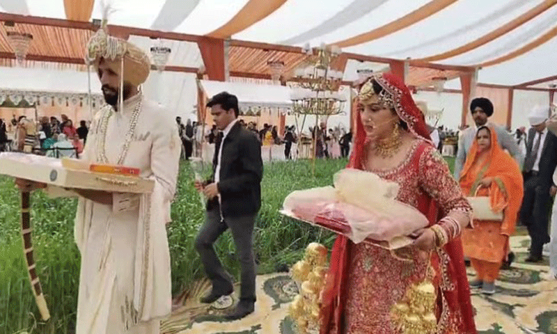 कनाडा से पंजाब लौटे कपल ने गेहूं के खेत में की अनोखी शादी