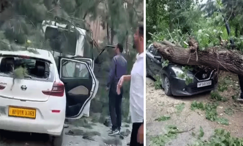Himachal News : कुल्लू में मणिकर्ण गुरुद्वारा के पास तेज हवा से पेड़ नीचे गिरा, दबने से 6 लोगों की मौत