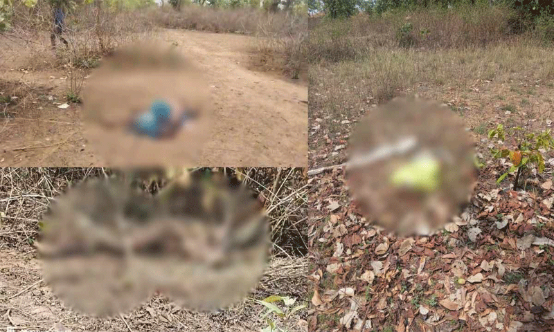 तीन ग्रामीणों को हाथियों ने कुचला, इलाके में दहशत का माहौल