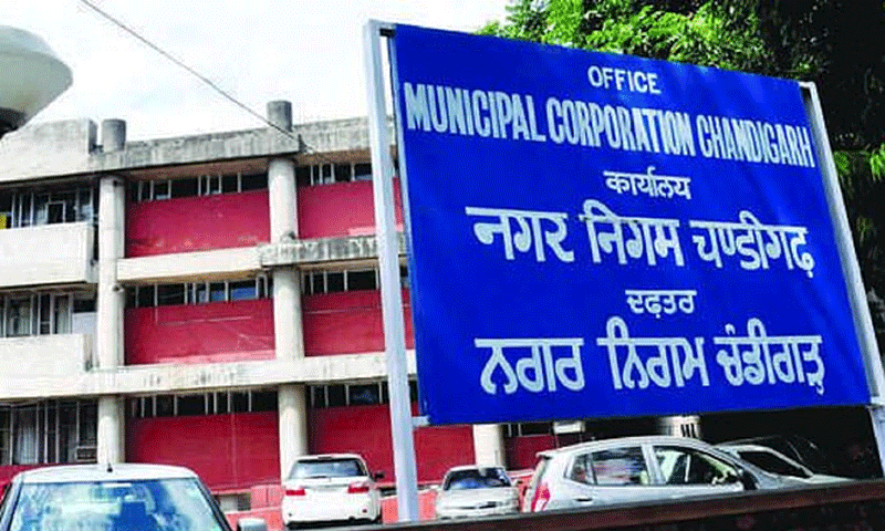 चंडीगढ़ नगर निगम ने 205 घरों के काटे चालान