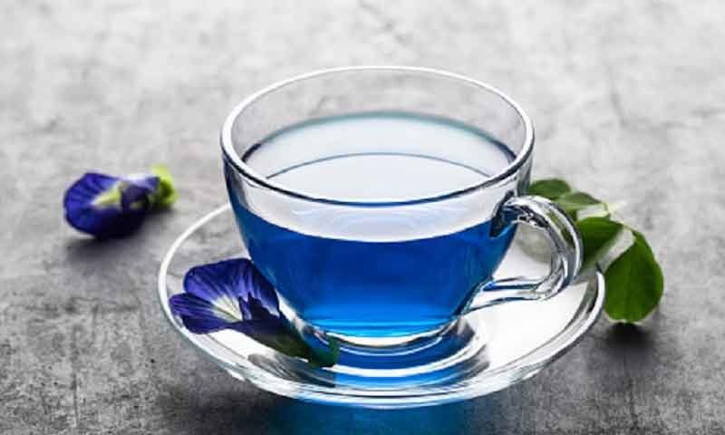 क्या आप जानते हैं ब्लू टी पीने से कितने फायदे होते है? इसे पी लिया तो भूल जाएंगे दूध वाली चाय