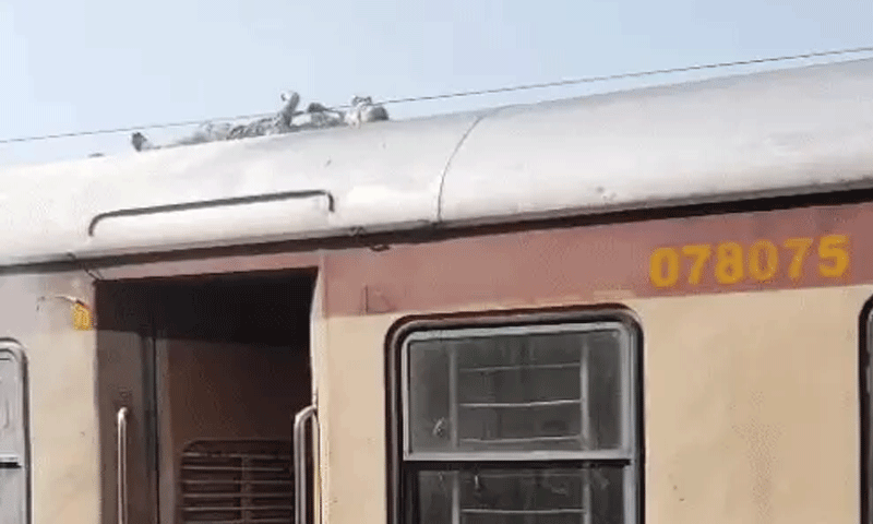जालंधर में ट्रेन की छत पर चढ़ा युवक हाई वोल्टेज तार की चपेट में आकर झुलसा