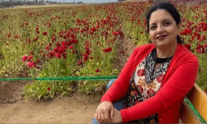 अमेरिका में एक भारतीय मूल की महिला को उसके ग्रीन कार्ड इंटरव्यू के दौरान गिरफ्तार किया गया