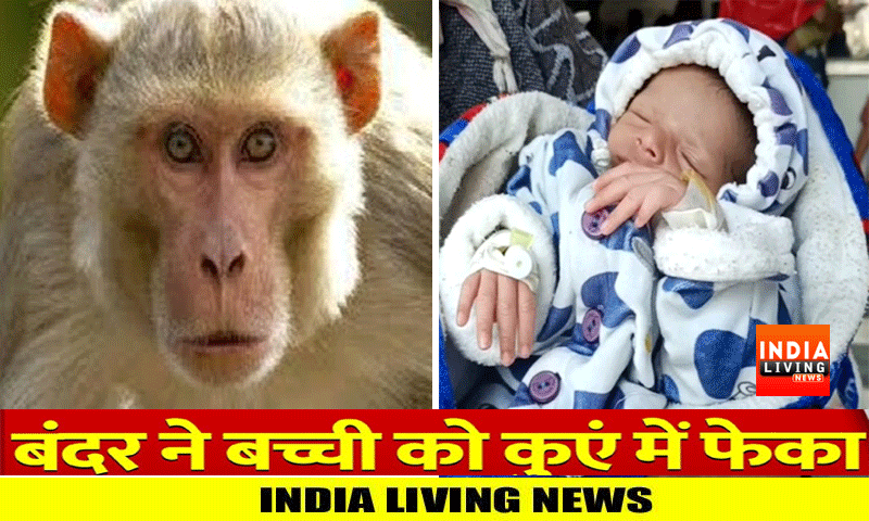 माँ की गोद से 20 दिन की बच्ची को छीनकर ले गया बंदर, भागते-भागते कुएं में गिरा दियाâ€¦