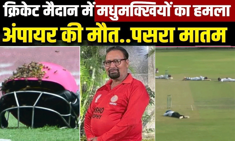 क्रिकेट मैच के बीच मधुमक्खियों का हमला, अंपायर की मौत, कई खिलाड़ी घायल