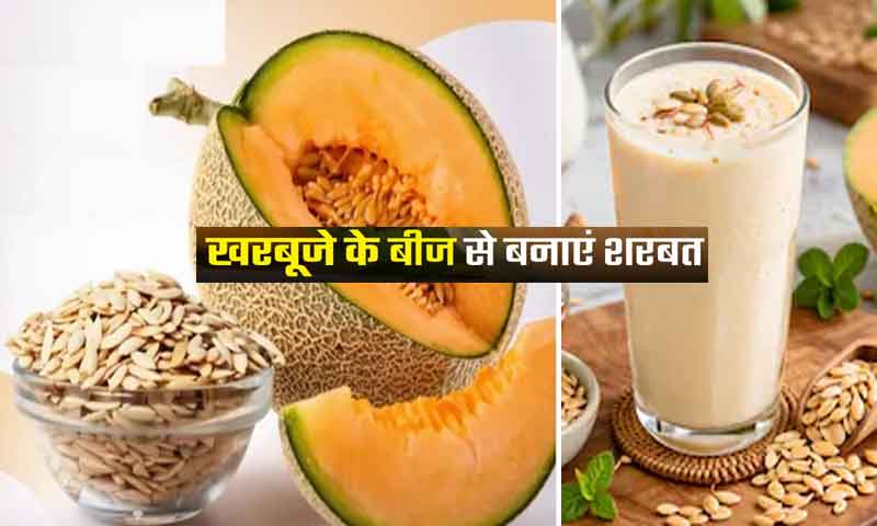 क्या आप भी हर बार फेंक देते हैं खरबूजे के बीज, तो मत करें ये गलती