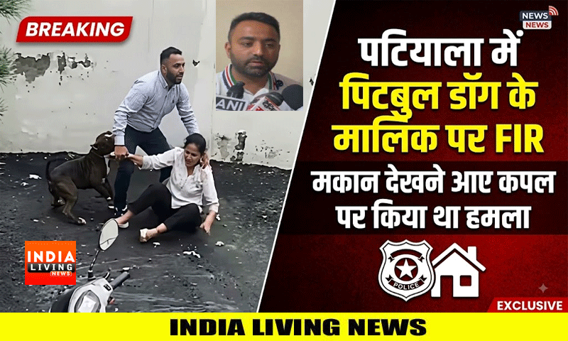पटियाला में पिटबुल डॉग के मालिक पर FIR : मकान देखने आए कपल पर किया था हमला