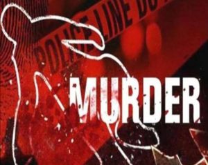 Read more about the article पढ़ाई के लिए डांटने पर पौत्र ने कर दिया दादी का कत्ल, TV सीरियल देख बनाई थी हत्या की योजना