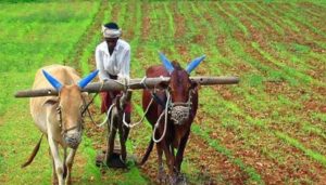Read more about the article बजट 2021 में वित्‍त मंत्री का किसानों को बड़ा तोहफा, मिलेगा 16.5 लाख करोड़ का कृषि लोन