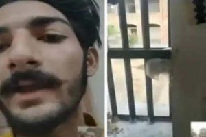 Read more about the article जेल में बंद आर्म्स एक्ट के आरोपी ने अंदर से वीडियो कॉल कर बैरकें दिखाईं , जेल सुपरिंटेंडेंट सस्पेंड